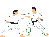 gifs animés de Karaté